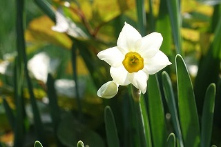 81943056_2818443658219653_6416156_2