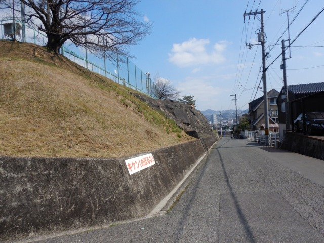 Sdscn3267