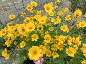 Cimg7545
